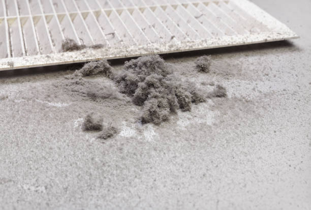 Best Air Duct Cleaning Cost  in Leonardtown, MD